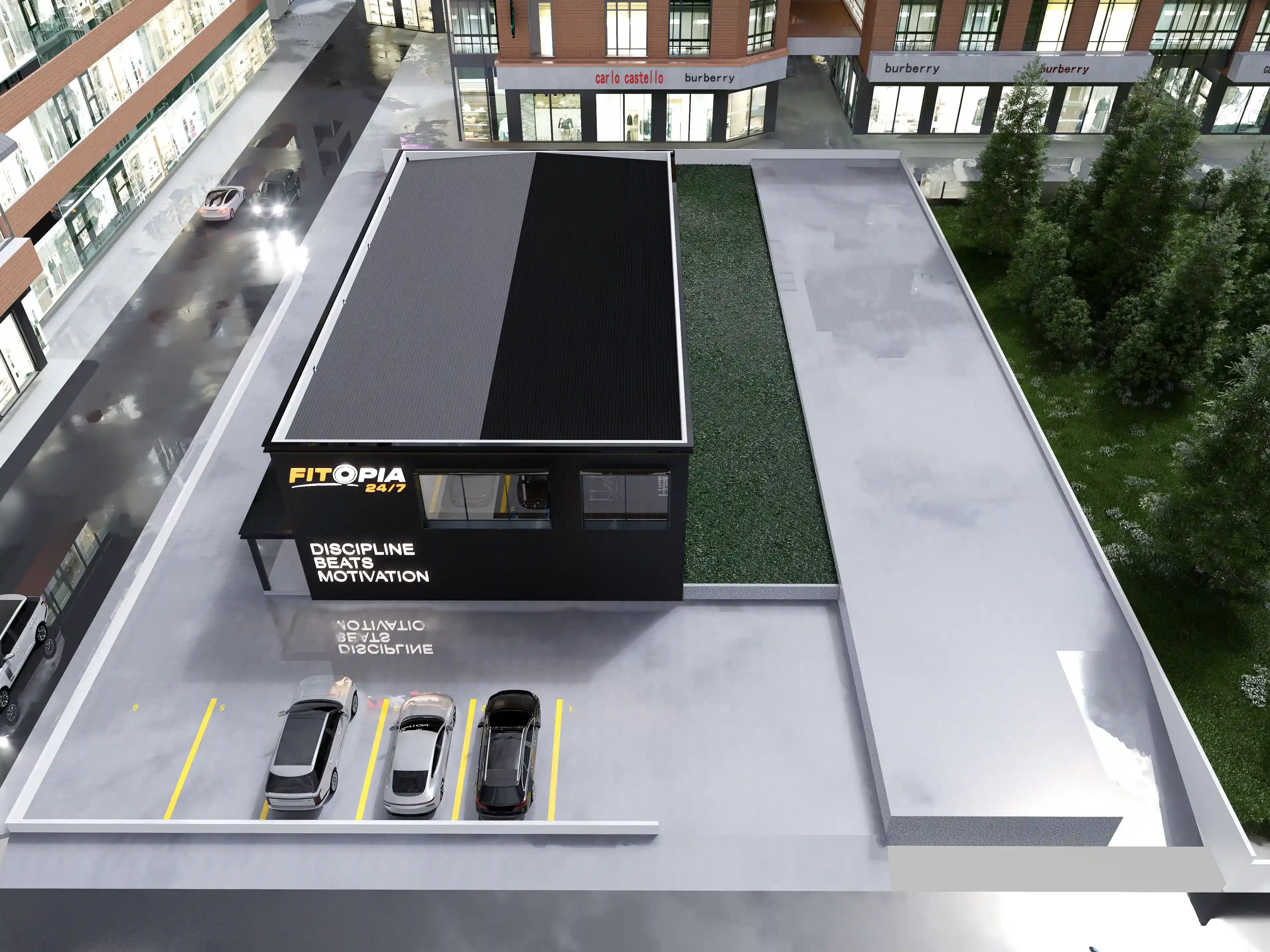 Fitopia Gym — 4